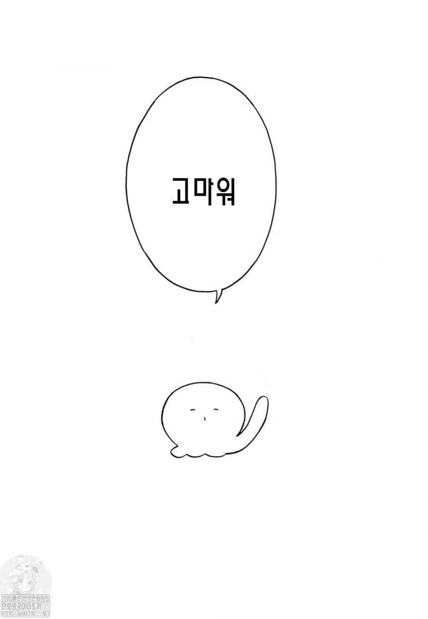 17344202622785.jpeg
