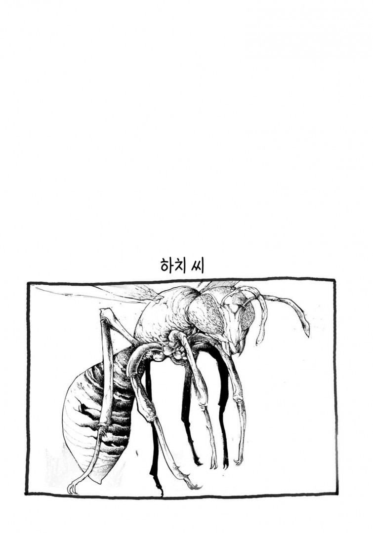17343901440387.jpg