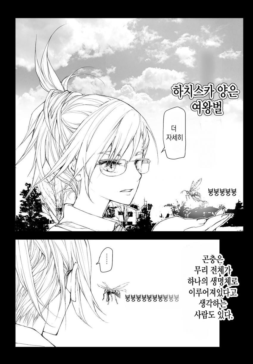 17343903132605.jpeg