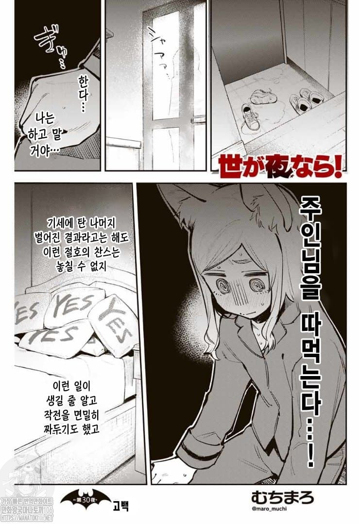 17344277052615.jpeg