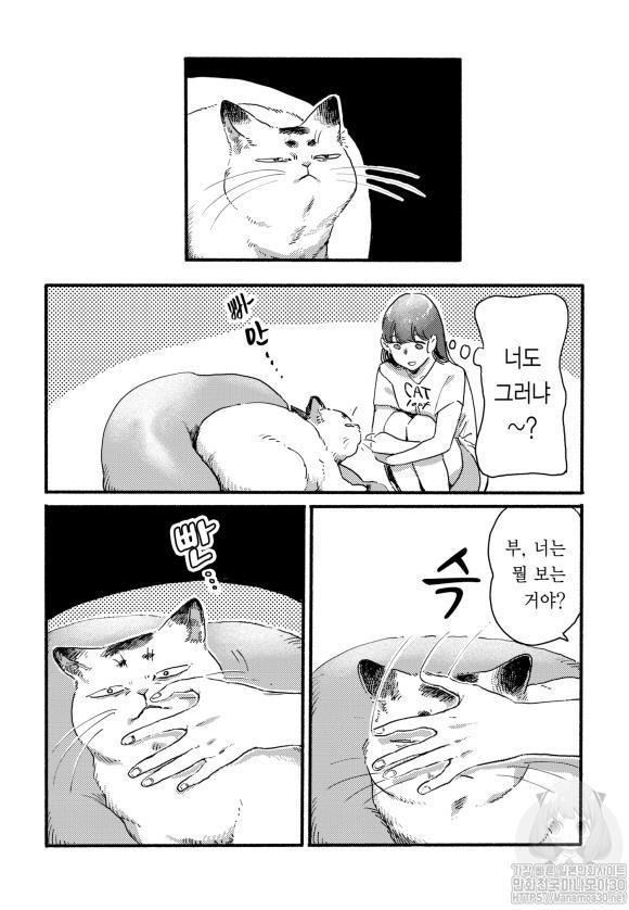 17344345643416.jpg