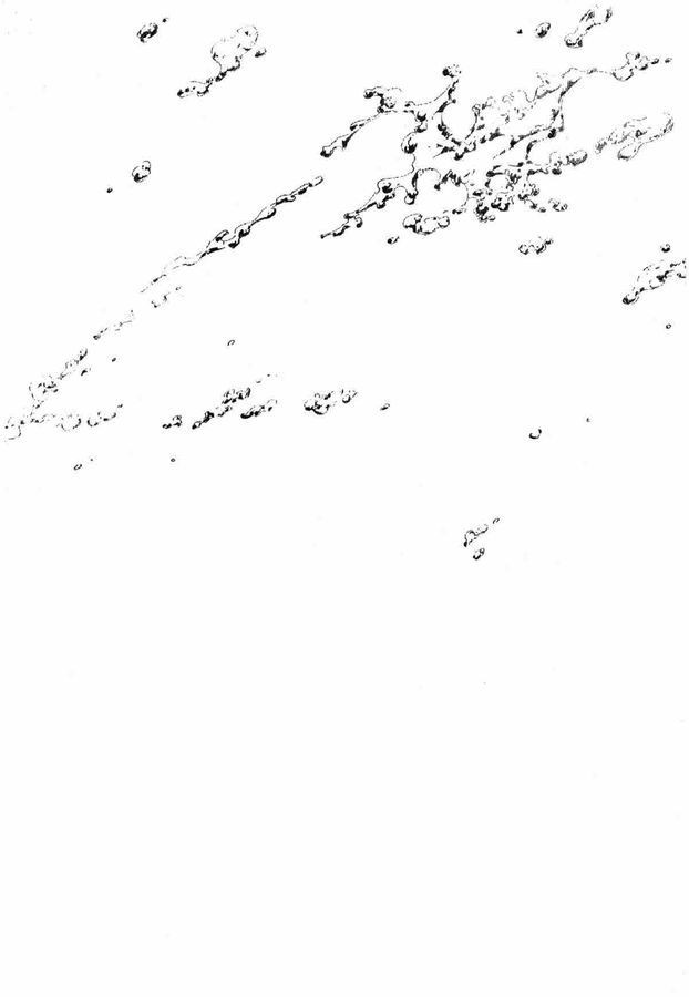 17344488013781.jpg