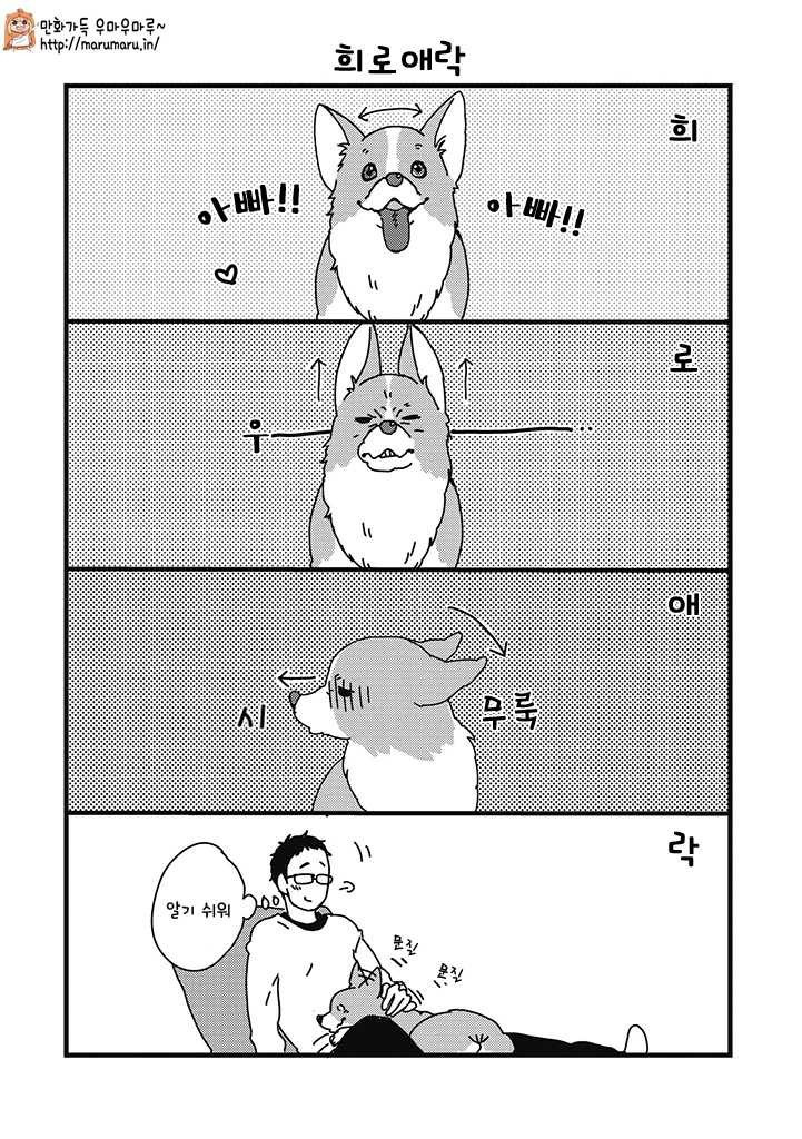 17344397562557.jpg