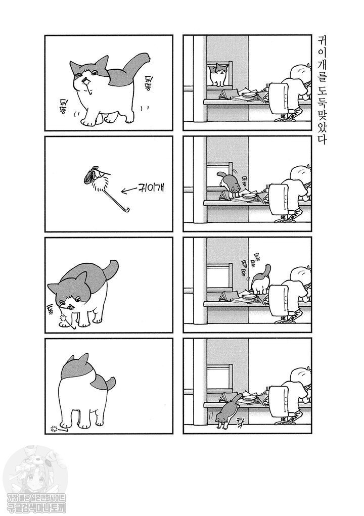 17343795528727.jpg