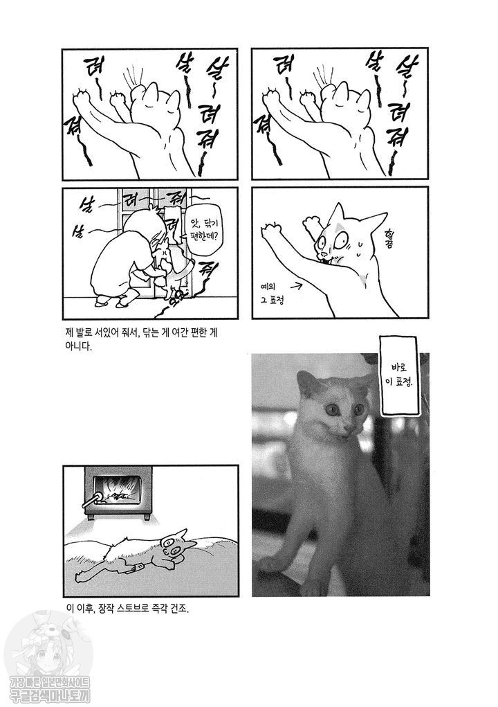 17343795626644.jpg