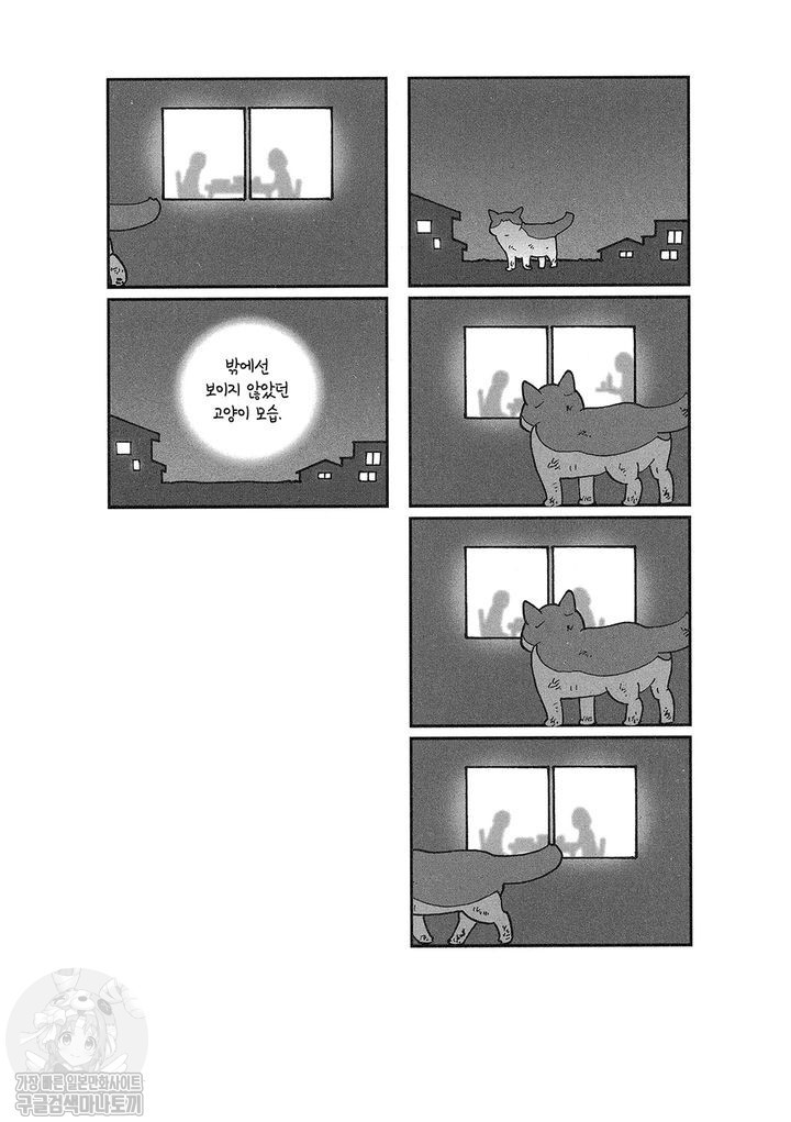 17343795716236.jpg