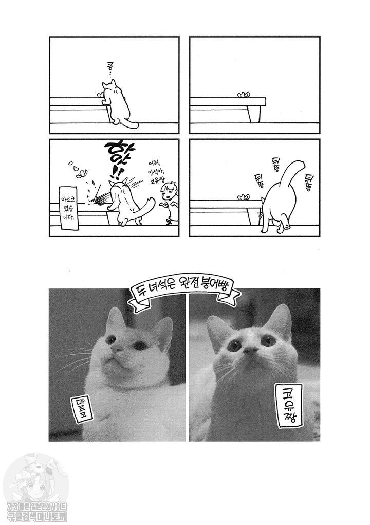 1734379572648.jpg