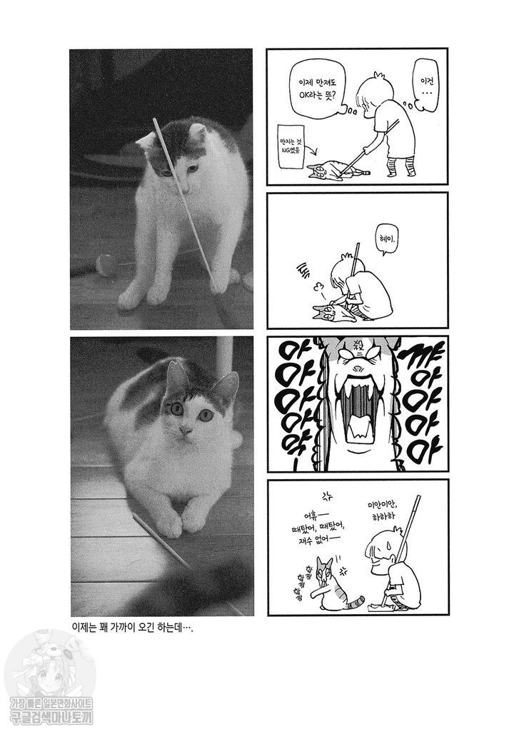 17343796722679.jpg