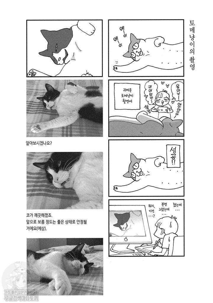 17343797010941.jpg