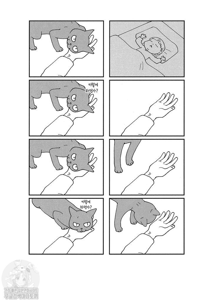 17343797019196.jpg