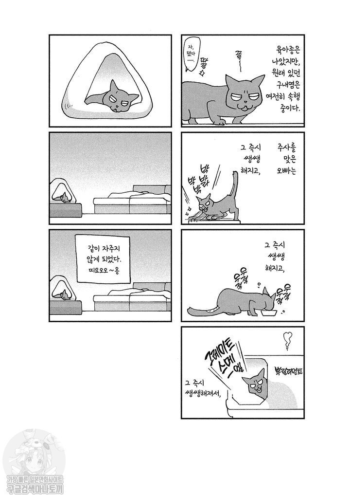 17343797034011.jpg