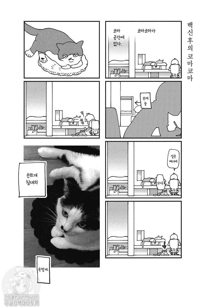 17343797362608.jpg