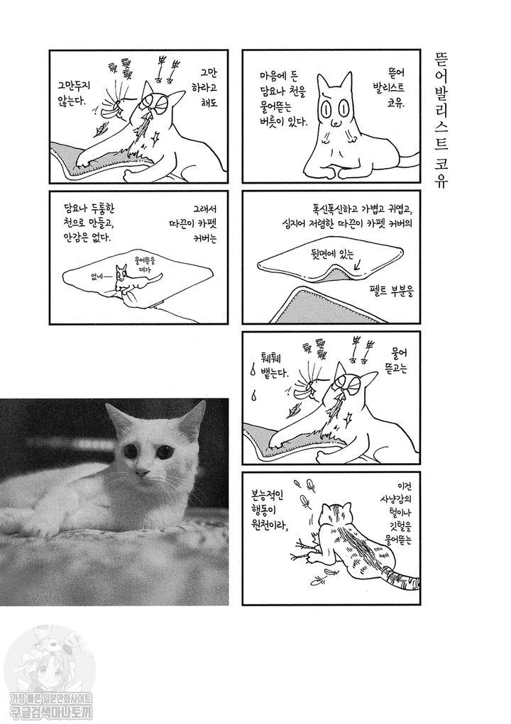 17343797397759.jpg