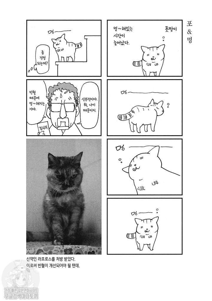 17343797409085.jpg