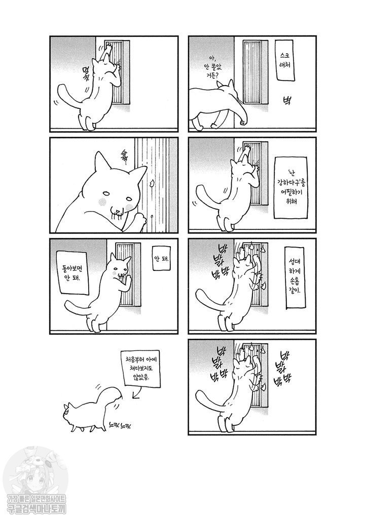17343797418091.jpg