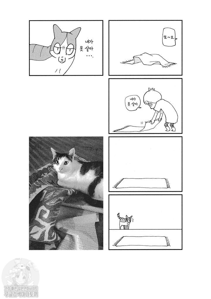 17343798059656.jpg