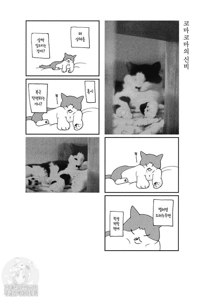 17343798081588.jpg