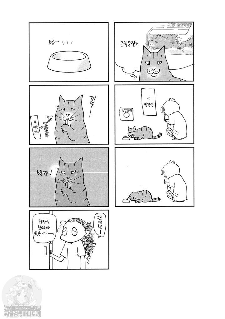 17343798721201.jpg