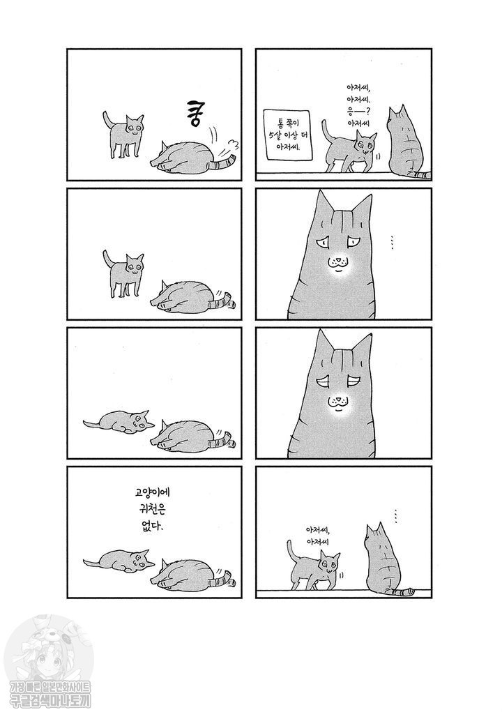 17343798986459.jpg