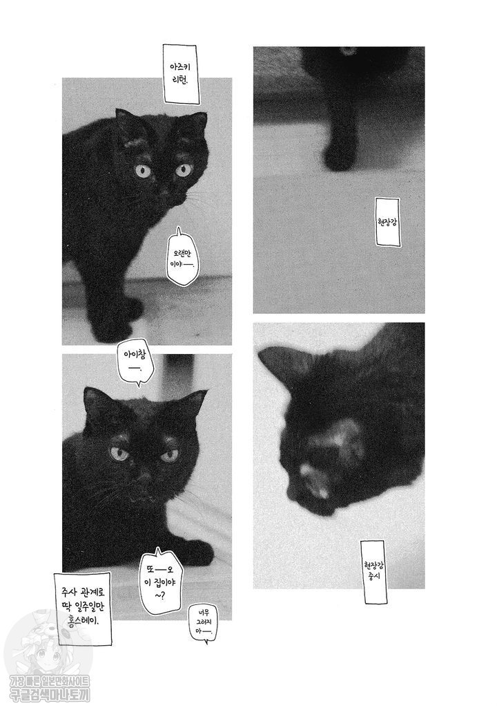 17343799990016.jpg