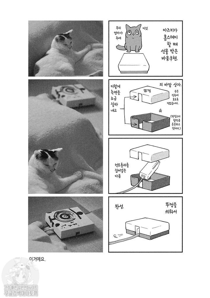 17343800059689.jpg