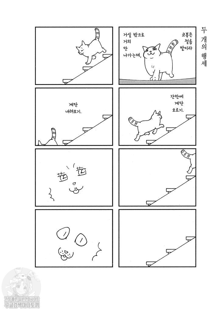 17343800890473.jpg