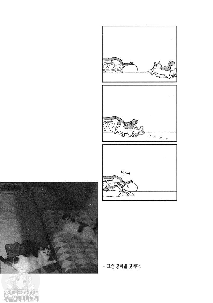 1734380124119.jpg