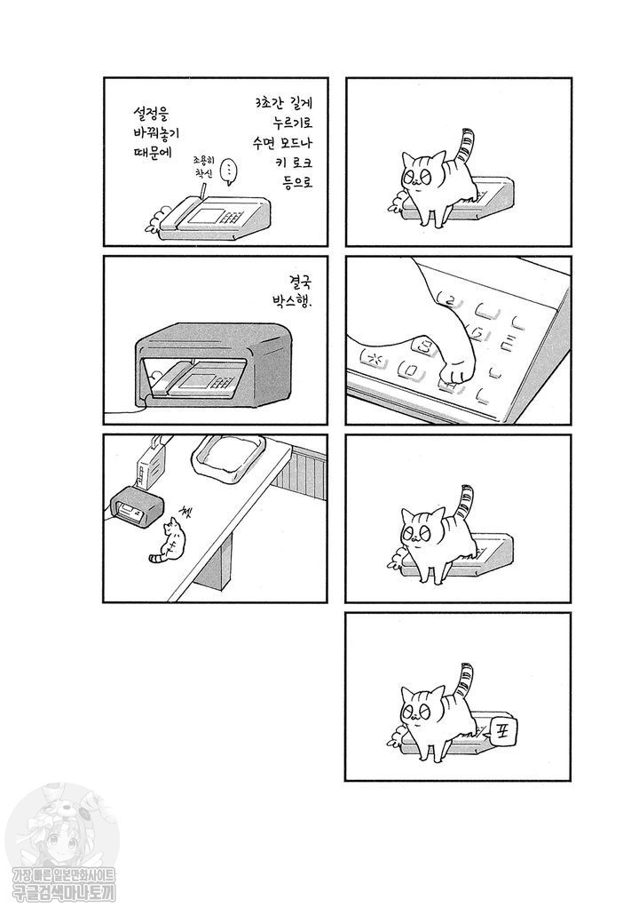 17343801370196.jpg
