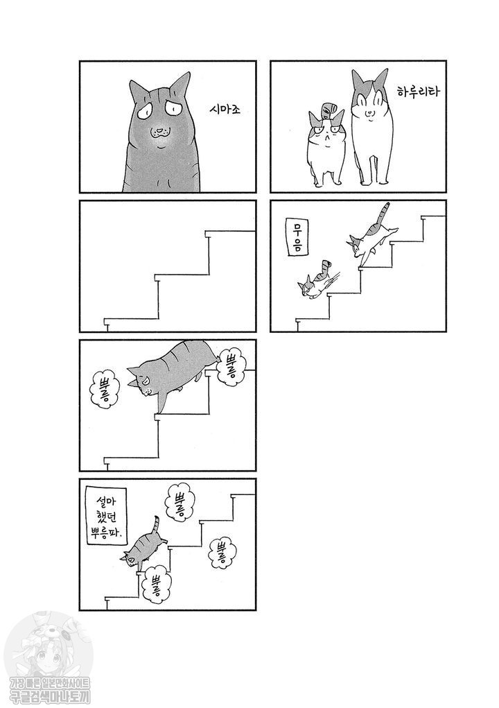 17343801392153.jpg