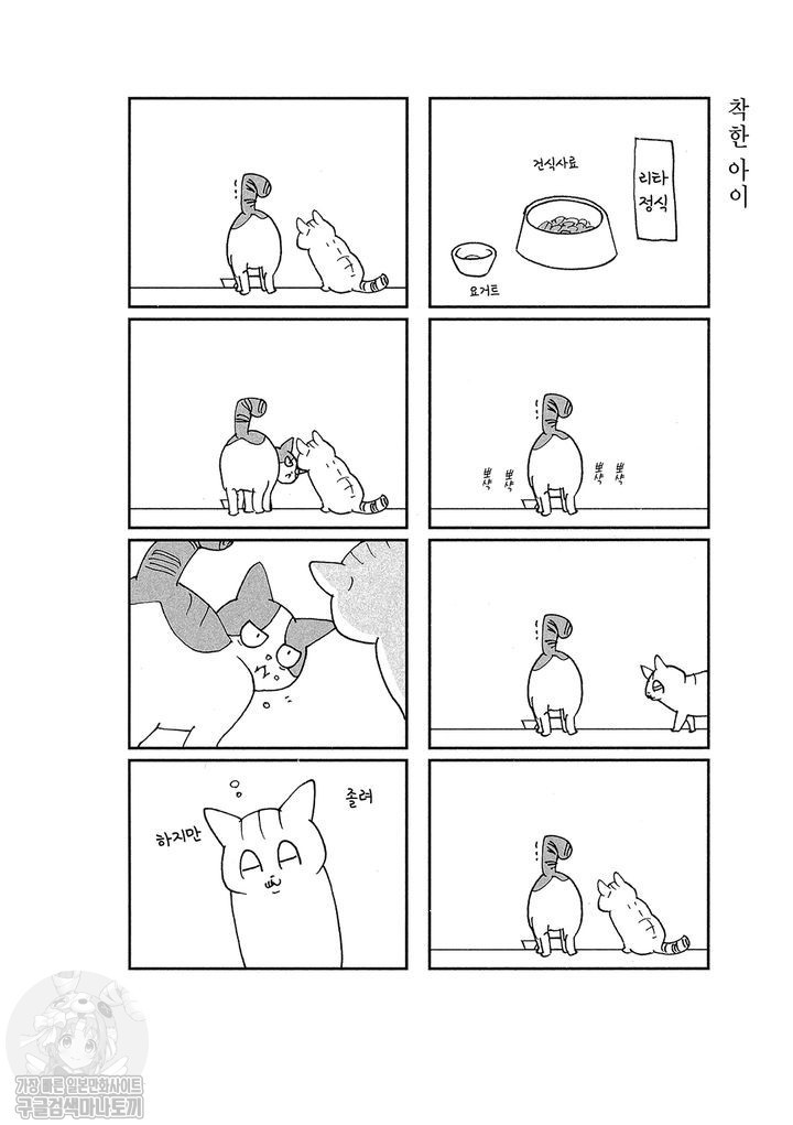1734380147598.jpg