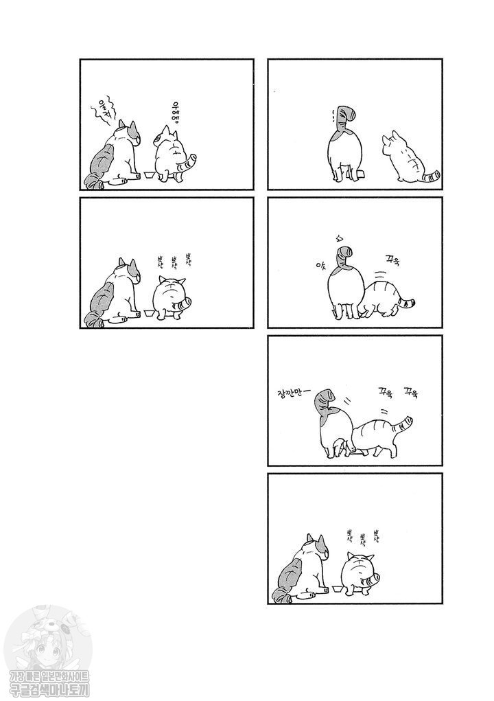 17343801490207.jpg