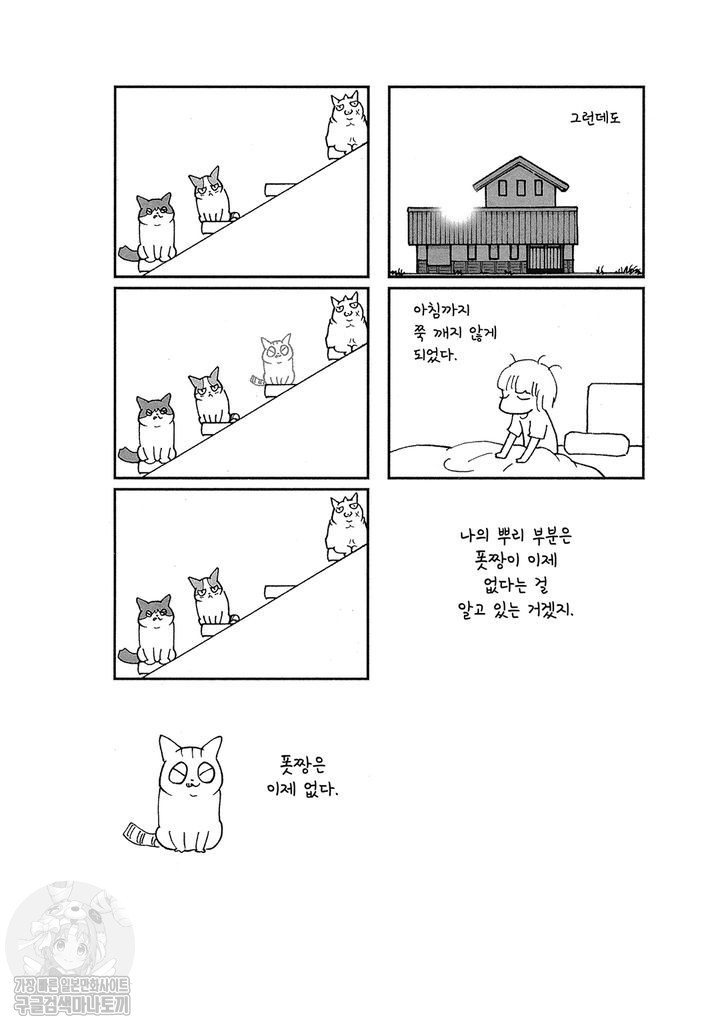 17343801650211.jpg