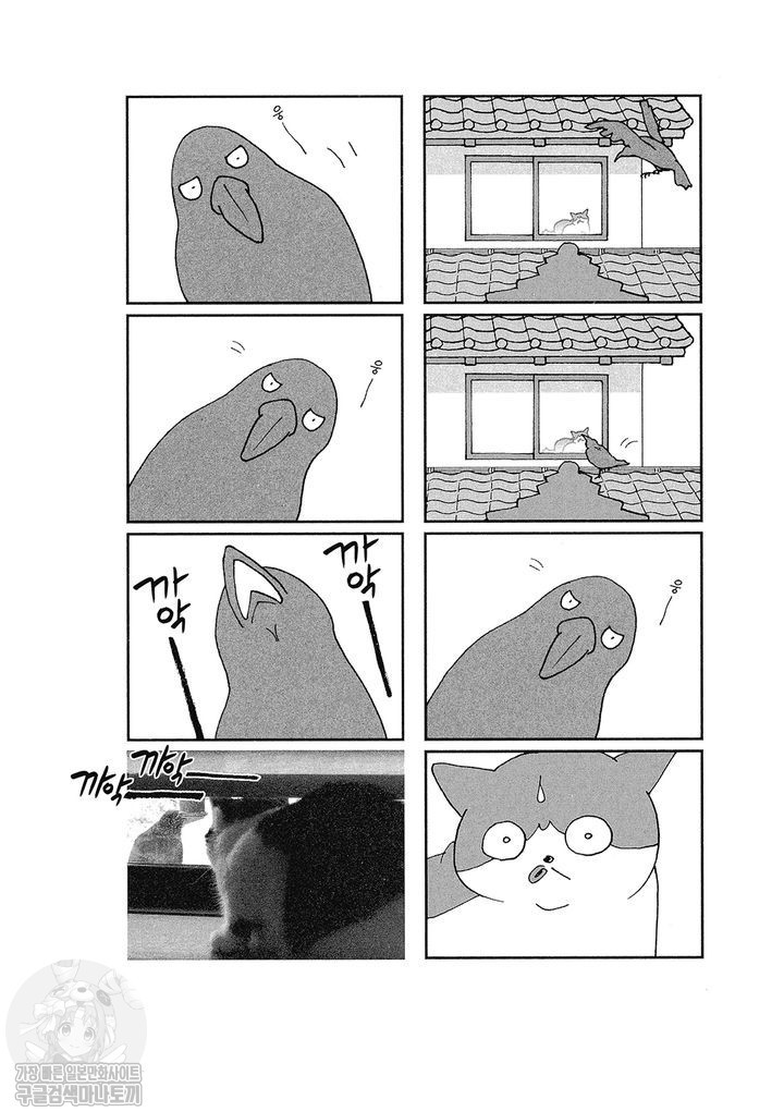 17343802195039.jpg