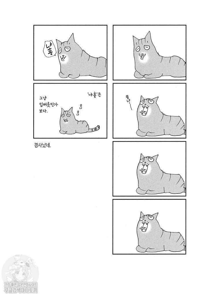 17343802393284.jpg