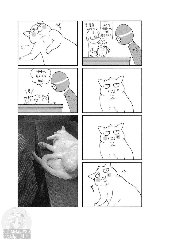 17343802746651.jpg