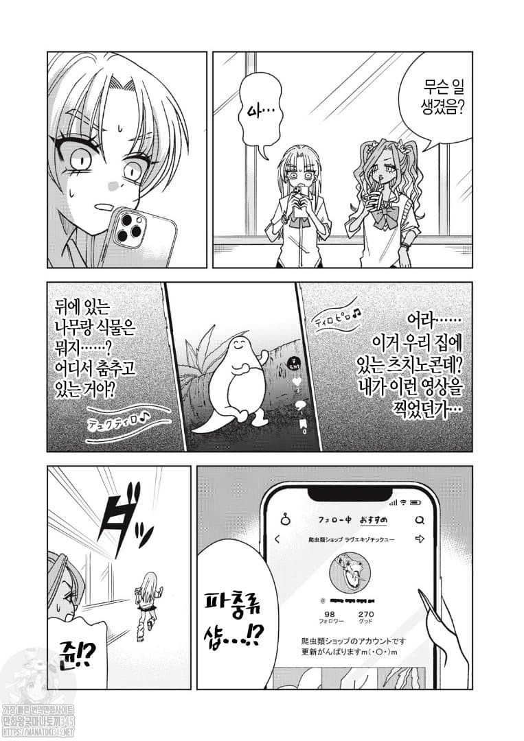 17347117029186.jpeg