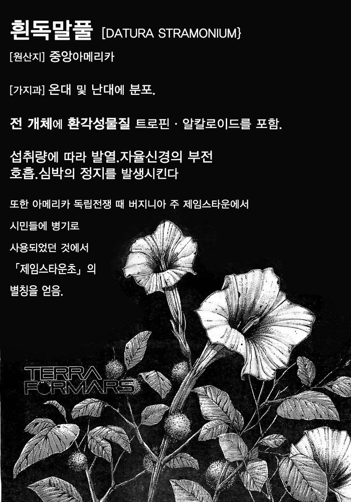 테라포마스 2부 27화